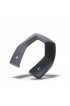 Pantalla Intuvia Active, Platino