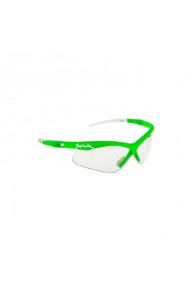 Gafas de sol Alpina Eye-5 CM+