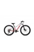 Bicicleta infantil Ghost Kato 24" Pro plata rojo