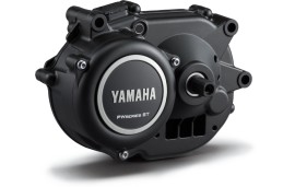 MOTOR YAMAHA PW-ST