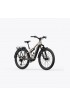 Amflow TL Carbon 800 Wh