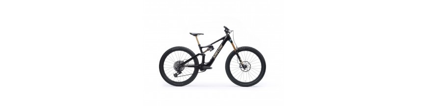 AMFLOW-AVINOX AMFLOW-AVINOX